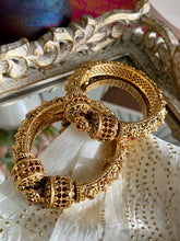 Load image into Gallery viewer, Srinija