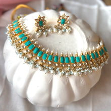 Load image into Gallery viewer, Phirozi Raaga