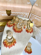 Load image into Gallery viewer, Salmon Revisit